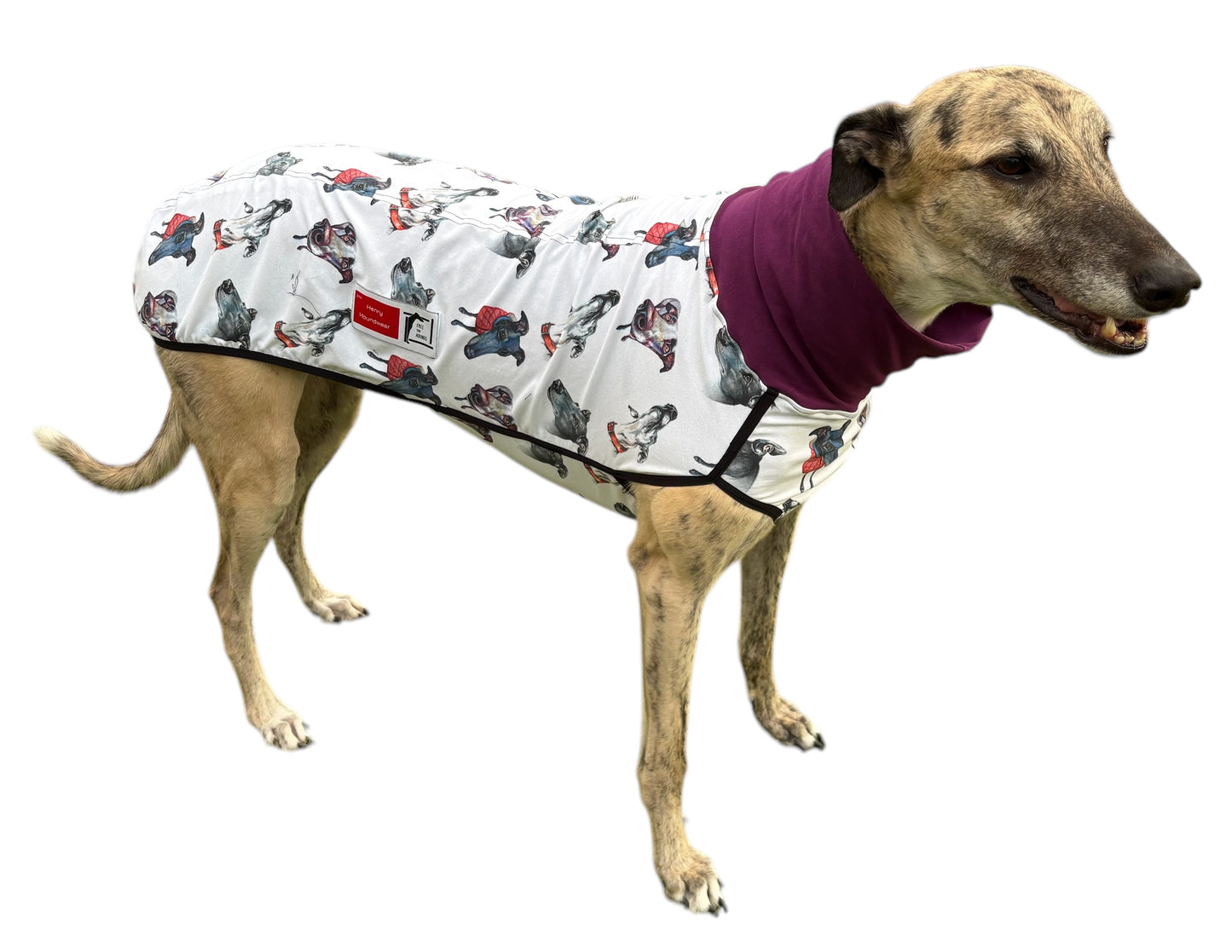 Onesie: Greyhound Head