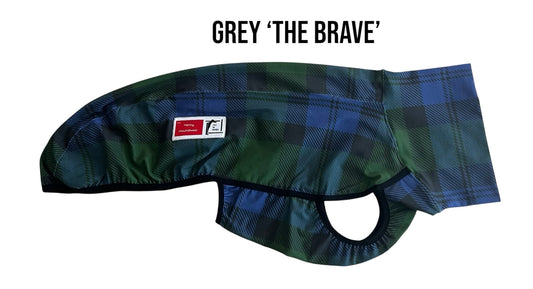 Grey ‘The Brave’